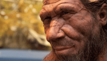 8 billion people: how different the world would look if Neanderthals had prevailed