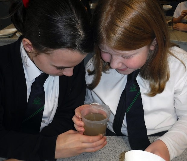 Upton Junior School Celebrates British Science Week with Hands-On Learning 15