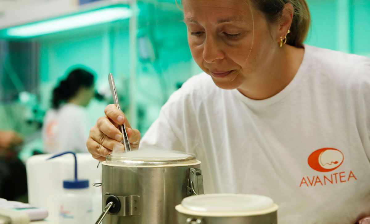 A scientist creating rhino IVF cells